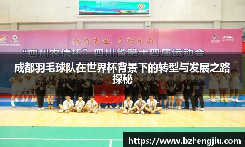 成都羽毛球队在世界杯背景下的转型与发展之路探秘