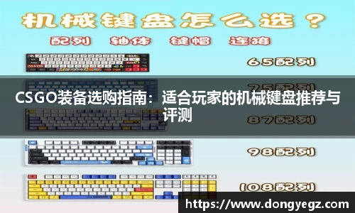 CSGO装备选购指南:适合玩家的机械键盘推荐与评测